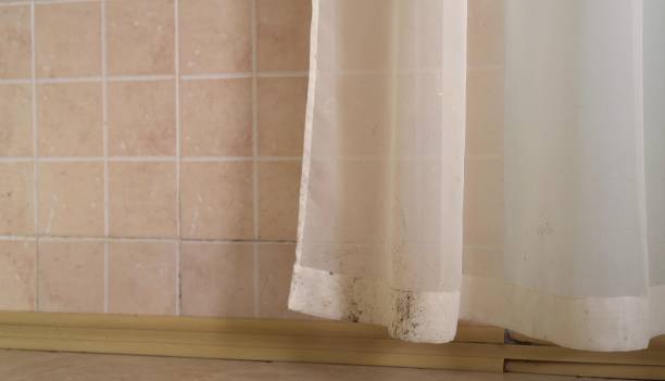 Best Asbestos and Lead Testing During Mold Inspection  in Houston, MO